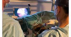 Ovariectomie d'une jument avec le Dr Tamara de Beauregard à Meslay du Maine