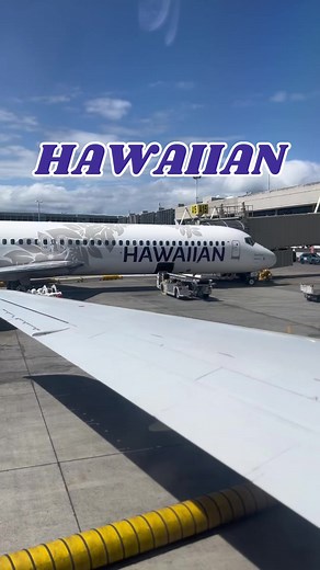 【ビジネスクラス】8時間のフライトも快適🦩#hawaii #businessclass #travel #vlog #ビジネスクラス #旅行 #ハワイ