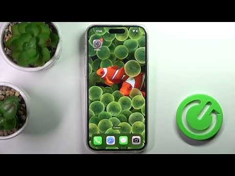 How to Block Number on iPhone 14 Pro Max - Block Phone Numbers