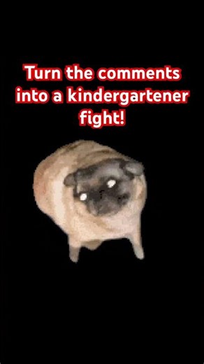 Turn the comments into a kindergarten fight