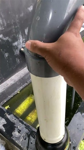 Instal pompa monters 30.000 lph di kolam utama