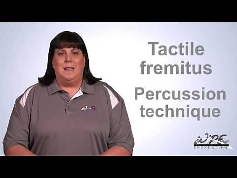 Percussion and Tactile Fremitus Lung Examination