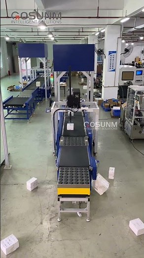 Dynamic Dws sorting system with print and apply