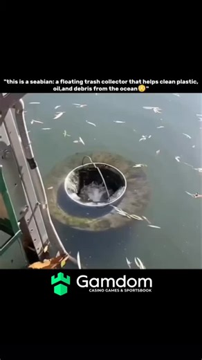 INTERESTING FACTS on Instagram: "Seabin is designed to help clean the ocean by collecting floating waste from the water. You will often find these devices placed in marinas, harbors, and other calm coastal areas where garbage tends to accumulate. The Seabin floats on the surface of the water. It uses a small pump that creates a gentle suction, pulling water — along with any floating debris — into the bin. As the water enters, the trash gets trapped inside a special catch bag while the clean wate