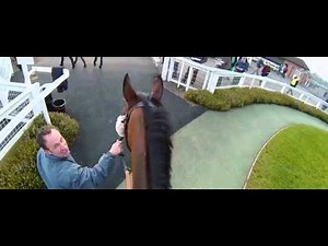 Horse Racing | All Through 2013 | Channel 4