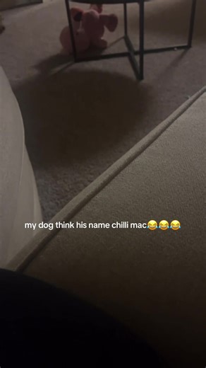Why My Dog Thinks His Name is Chilli Mac