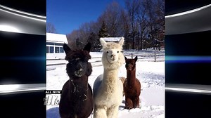 47K views · 219 reactions | BREAKUP BOOTCAMP: Would you pay for a weekend getaway to get over an ex? | The Doctors | Facebook