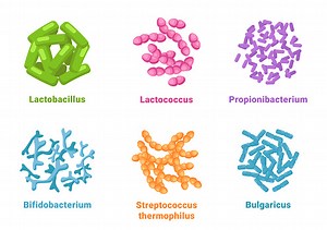 Probiotik set lactobacillus, lactococcus, propionibacterium,...