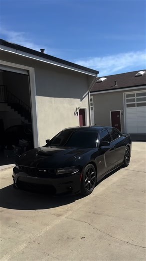 upsetting 🫩Dm if you need tint removal or anything detail related 💯🩵 #scat #detailing #tints #viral #fyp