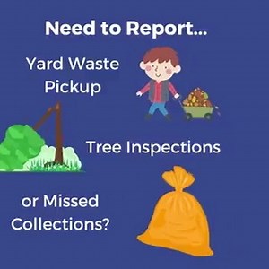 Have questions about or need to report the following: Tree...