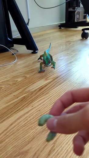 Chameleon Lunchtime Fun: Watch my Pet Chameleon Trolli Enjoy His Meal!