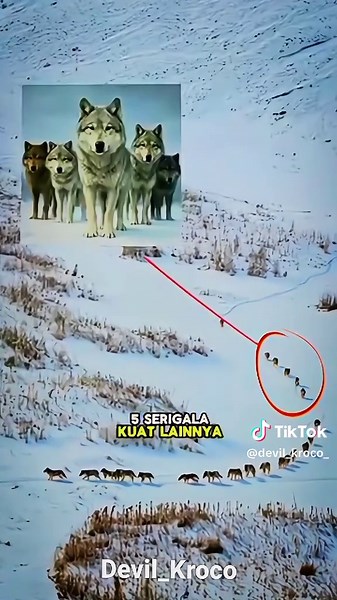 Mitos#fyppppppppppppppppppppppp #fypシ゚