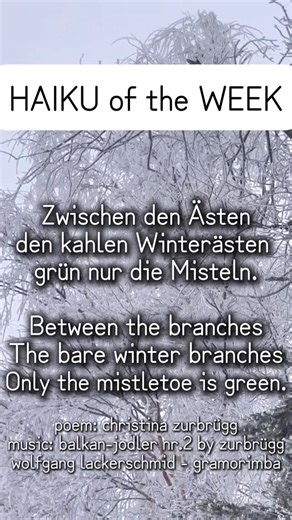 Christina Zurbrügg on Instagram: "hi haiku friends, here’s a winter HAIKU for the weekend ❄️please enjoy 🩵 #christinazurbrügg #music #musik #haiku #haikus #haikuoftheday #poem #poetry #yodel #yodeling #jodeln #happiness"