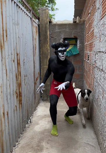 Funk e Mickey Mouse: A Dança do Menino de Vermelho