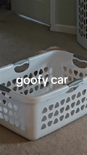 Caleb O'Haver (@caleb.ohaver)’s videos with original sound - kd_____18