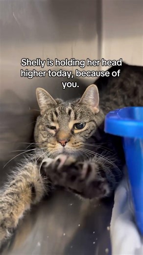 Full story in description .Subscribe 🙏