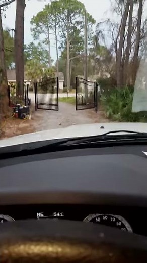 Liftmaster cp3 exit wand