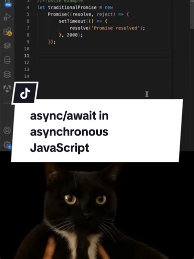 async/await in Javascript. #javascript #cat #coding #async#await #function #fyp