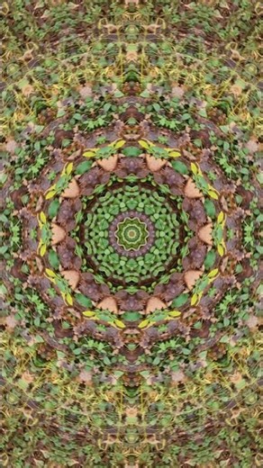 The Easy Way to Create Stunning Kaleidoscope Patterns #shorts