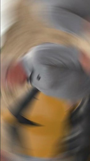 Get the Parts You Need to Self-Service Your Engine