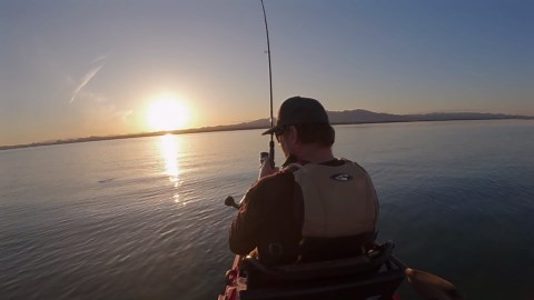 Vibe Makana 100 Product Bundle ONLY