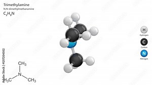 Trimethylamine. Animated 3D model of a molecule. Molecular formula: C3H9N. Chemical model: Ball and sticks. White background. 3D rendering. Seamless loop.