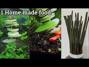 DIY fish food you can add to your aquarium with MINIMAL effort