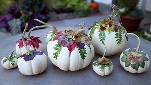 14M views · 96K reactions | DIY Botanical Pumpkins!  | Garden Answer | Facebook