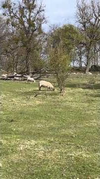 1 May 2026