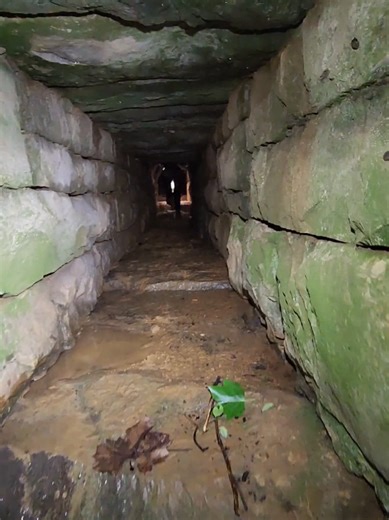 Appalachian Tunnel Found in the Woods - Part 2