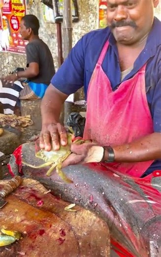 Fast Carp Fish Cutting 🔪🐟 | Kasimedu Fish Market Expert