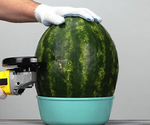 42M views · 228K reactions | Grow any plants easily with these incredible gardening hacks!  | 5-Minute Crafts | Facebook