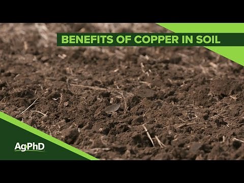 Benefits of Copper in Soil #1074 (Air Date 11-4-18)
