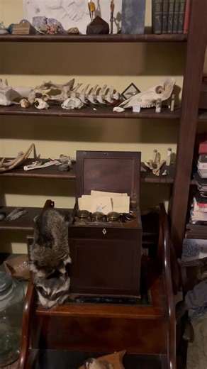 Stuart house oddity room! Circa 1840 in Saltville, Va. | Old House Life - Michelle Bowers