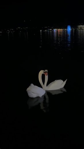 naumistaybin on Instagram: "Typing 🌚"