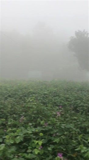 esat.com07 (@esat.com07)’s videos with original sound - 🍁_ভন্ড_🍁