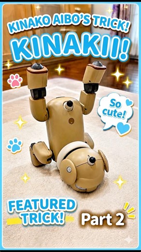 No way! AIBO can do a handstand?! #aibo #sonyaibo #robotdog