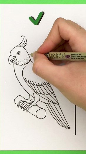 Learn to Draw Beautiful Parrots - Step by Step Tutorial
