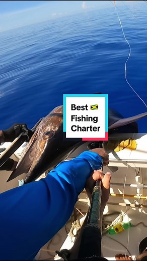 This place is amazing for fishing 🎣 Hit up Captain Radcliffe from Radcliffe’s Sport Fishing in Whitehouse Fishing Village Montego Bay Jamaica! You won’t regret it mon!🇯🇲 #fishing #deepseafishing #bluemarin #mahimahi #dolphinfish #jamaica #montegobay #oceanfishing #saltwaterfishing #fishingcharter