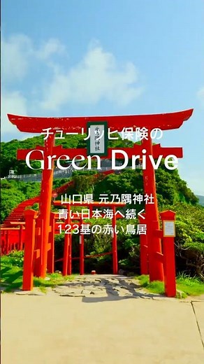 【山口 絶景ドライブ】日本海に連なる赤い鳥居と秘境ドライブ