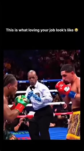 One Shot 👊🥊 on Instagram: "Steve Willis is a national treasure 😂 Steve Willis is one of boxing’s most recognizable referees, known for his animated facial expressions and expressive body language in the ring. Based in New York, he has officiated numerous high-profile world title fights across major networks and promotions. Despite his viral reactions, Willis is widely respected for maintaining control, prioritizing fighter safety, and enforcing the rules consistently. His personality has made