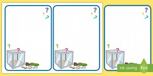 Curiosity Cube Editable Prompt Cards