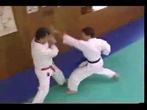 Hangetsu Bunkai
