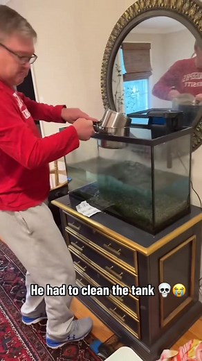 Fully clean 😭(🎥:@mheine455) | oscar fish