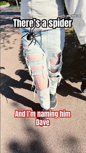 Spider Dave: There’s a Spider on My Ceiling and I’m Naming Him Dave—With Mufasa: The Lion King Vibes