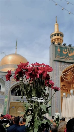 3.5K views · 732 reactions | The shrine of Imam Ali Ibn Musa Al Ridha (as) prepares for his upcoming birthday 懶爐 —— #islam #muslim #quran #ahlulbayt #imamreda #imamreza #imamhusseintv | Imam Hussein TV 3 | Facebook