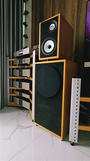 Monday morning blues part 2 #audiophile #highend #hifiaudio #loudspeaker #hifi