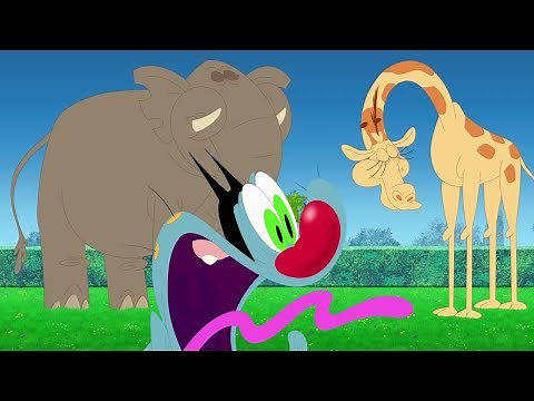 Oggy and the Cockroaches - Life's a Zoo | BEST CARTOON COLLECTION | New Episodes in HD