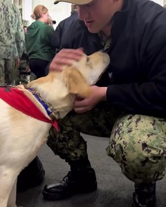 Mutts With A Mission, you made our day! 🐶 #MightyIKE #GreaterEachDay #MuttsWithAMission | USS Dwight D. Eisenhower (CVN 69)