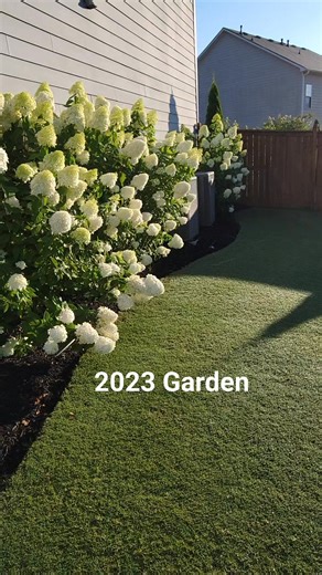 209K views · 2.8K reactions | Ready for spring time again! | Bermuda Boss | Facebook